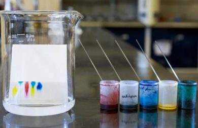 Современные подходы к очистке биологически активных соединений